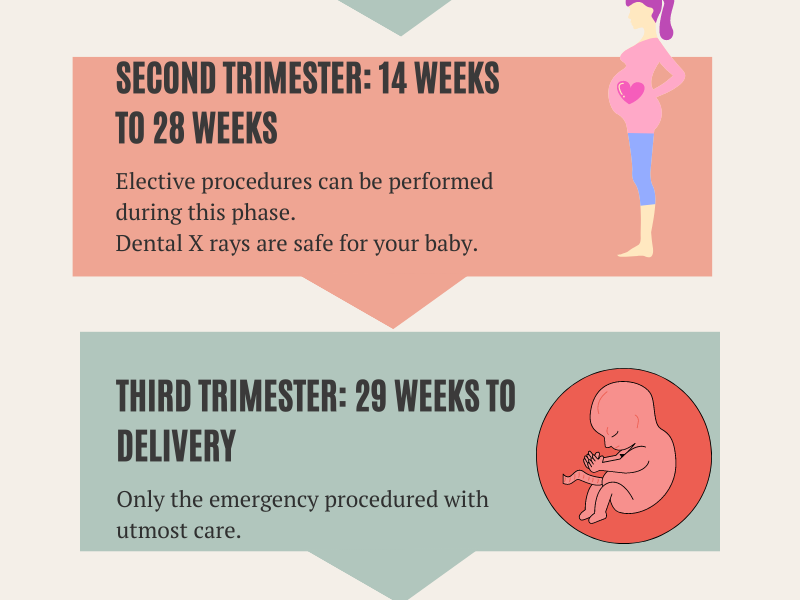 Dental Care during Pregnancy